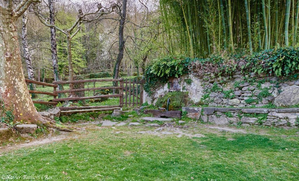 方达芬妮特公寓 Sant Felíu de Pallarols 外观 照片