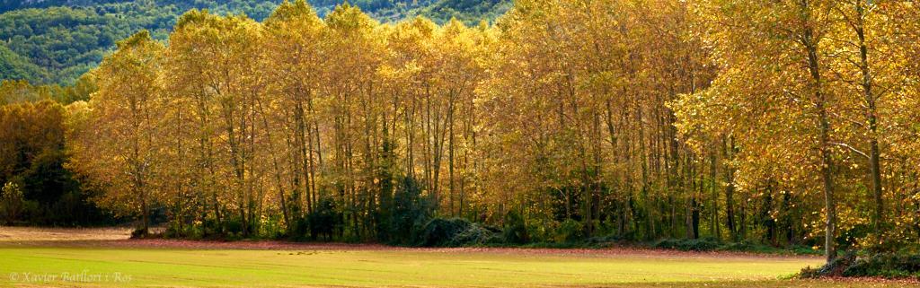 方达芬妮特公寓 Sant Felíu de Pallarols 外观 照片